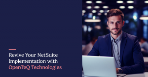 NetSuite Digital Portals for Small and Medium Businesses | OpenTeQ Technologies