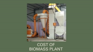 Biomass Plant Manufacturers