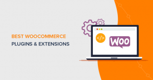 A Complete Guide Of Best 2 WooCommerce Extensions In 2024-2025