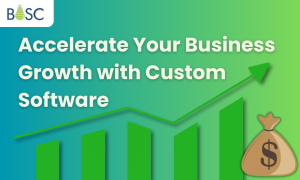 The Role of Custom Software in Accelerating Business Growth