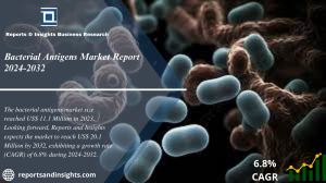 Bacterial Antigens Market Report 2024 to 2032: Growth, Share, Size, Trends and Industry Analysis