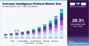 Customer Intelligence Platform Market Expansion: Emerging Technologies to Watch