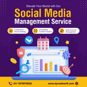 Boost Your Business with Dynode Software Technology: Leading Social Media Company in Patna