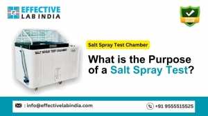 What is the Purpose of a Salt Spray Test?