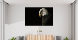 Black and White Wall Art - The Viewers Visual Link 