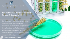 Bio-Fabricated Proteins Market Size, Share | Forecast 2024-32