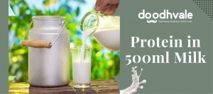 How Much Protein is in Milk? A Comprehensive Guide