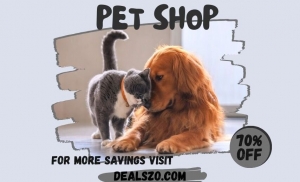 How Do You Know If You’re Buying Safe and Effective Pet Care Supplies?