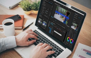 Video Editing Software Market Segments, Value Share and Key Trends 2031 