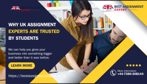 Why UK Assignment Experts Are Trusted by Students