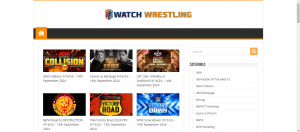 Best Sites to Watch Wrestling Matches from Around the World