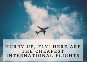 Fly Anywhere, Anytime: Seamless Flight Booking Service for Every Destination with Fly24hrs