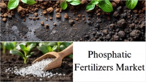 Phosphatic Fertilizers Market Size, Share, and Growth Forecast Overview Through 2032