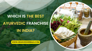 Which is the Best Ayurvedic Franchise in India?