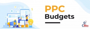 How Can a Business Maximize ROI When Operating on a Limited PPC Budget?