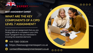 What Are the Key Components of a CIPD Level 7 Assignment?