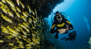 Scuba diving in grand island : Everything You Need to Know