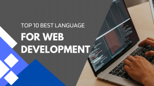 Best Languages for Web Development in 2024