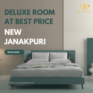 Deluxe Room at Best Price in New Janakpuri