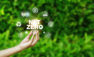 Expert Net Zero Consultancy Services for Sustainable Business Growth