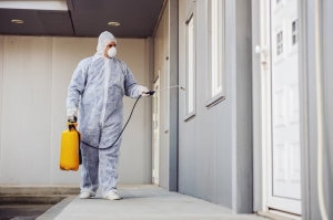 The Importance of Professional Pest Control Services in Sharjah