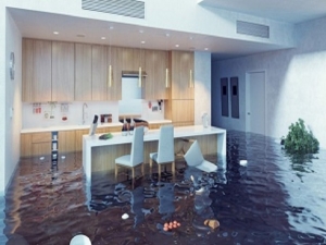 What Should I Do First After Water Damage Occurs?