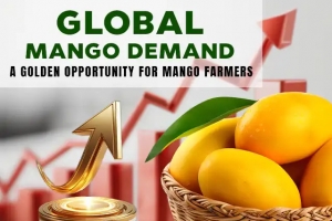 Global mango demand: A golden opportunity for mango farmers