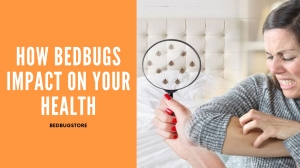 How Bed Bugs Can Impact on Your Health? Steps to kill Bed Bugs