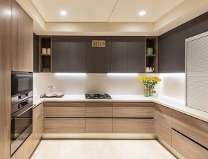 The Ultimate Guide to Modular Kitchen Design India