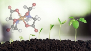 Vietnam Mycorrhizal Biofertilizer Market