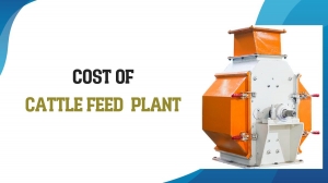 Cattle Feed Plant 