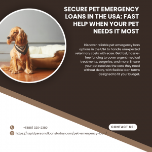 Secure Pet Emergency Loans in the USA: Fast Help When Your Pet Needs It Most