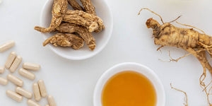 Fresh Ginseng Root: Why It's Still a Big Deal