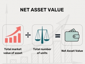 Can You See Dividend History & NAV in the Best Mutual Fund Software in India?