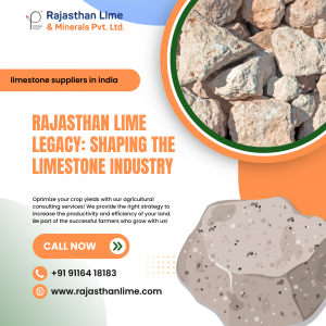 Rajasthan Lime Legacy: Shaping the Limestone Industry