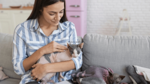 A Guide for Cat Sitters