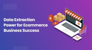 Data Extraction for Ecommerce Business