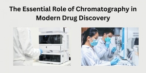 The Essential Role of Chromatography in Modern Drug Discovery