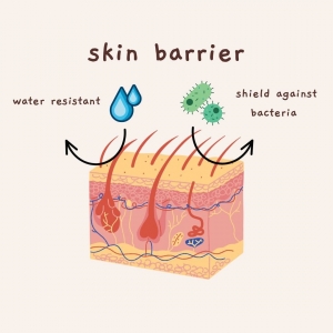 Ultimate Guide to Skin Barrier Repair