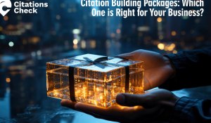 Citation Building Packages: Which One is Right for Your Business?