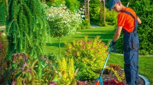 Choosing the Right Irrigation Contractor for Your Needs in Saudi Arabia