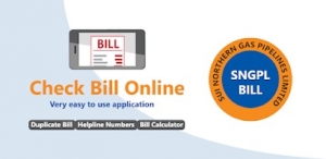 Streamline Your Finances: A Comprehensive Guide to SNGPL Online Bill Check