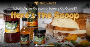 What Makes Sourwood Honey So Special? Here's the Scoop