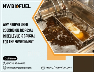 Why Proper Used Cooking Oil Disposal in Bellevue is Crucial for the Environment