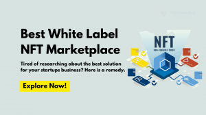 Which is the best white label NFT marketplace?