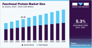 Functional Protein Market Growth: Exploring Regional Trends and Market Drivers