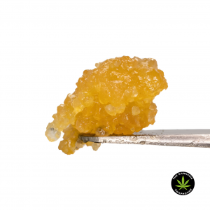 What Makes Cannabis Concentrates a Must-Try for Enthusiasts?