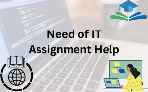 Need of IT Assignment Help
