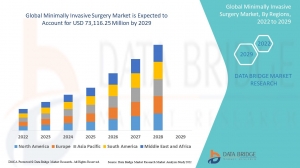 Global Analysis of the Market for Minimally Invasive Surgery