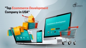 Superior Ecommerce Development Company in the USA |  Digisoft Solution